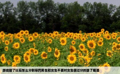 游戏输了以后怎么分别惩罚男生和女生不要对女生很过分的除了喝酒