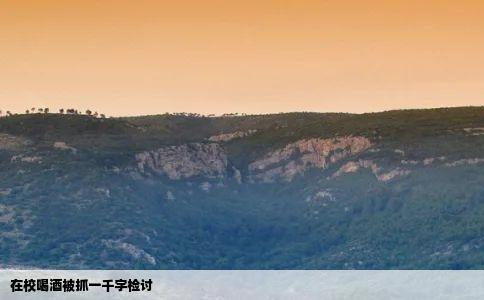 在校喝酒被抓一千字检讨