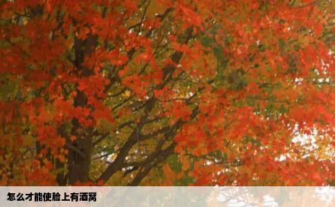 怎么才能使脸上有酒窝