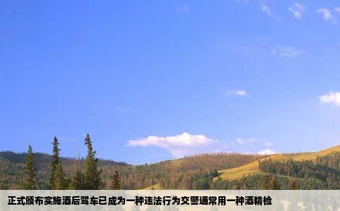 正式颁布实施酒后驾车已成为一种违法行为交警通常用一种酒精检