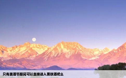 只有美酒节期间可以直接进入黑铁酒吧么