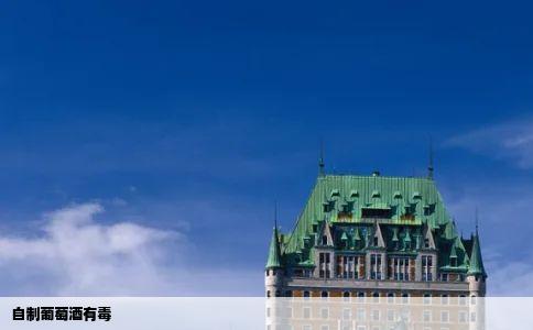 自制葡萄酒有毒