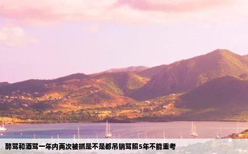 醉驾和酒驾一年内两次被抓是不是都吊销驾照5年不能重考