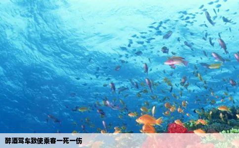 醉酒驾车致使乘客一死一伤