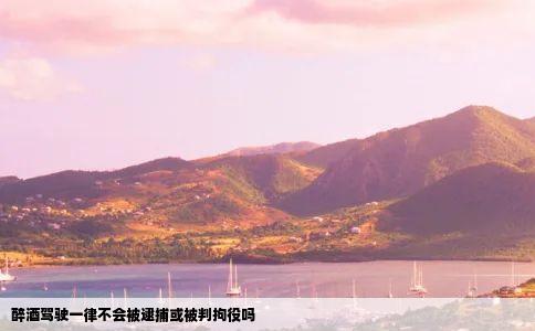 醉酒驾驶一律不会被逮捕或被判拘役吗