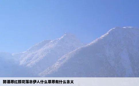 醉酒思红颜花落念伊人什么意思有什么含义