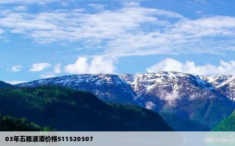 03年五粮液酒价格511520507