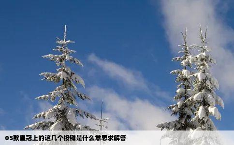 05款皇冠上的这几个按键是什么意思求解答