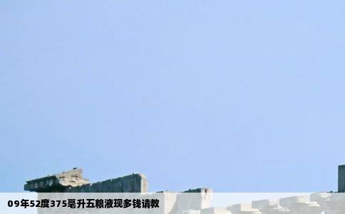 09年52度375毫升五粮液现多钱请教