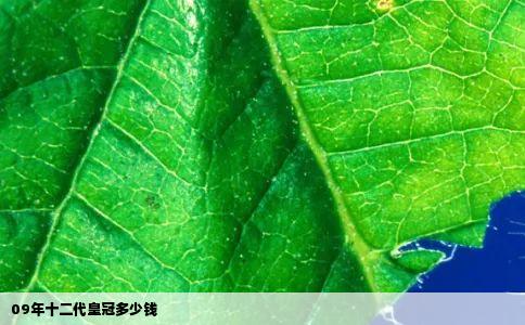 09年十二代皇冠多少钱