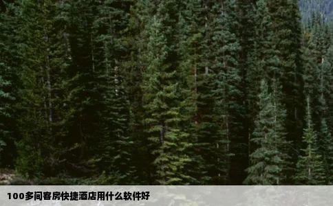 100多间客房快捷酒店用什么软件好