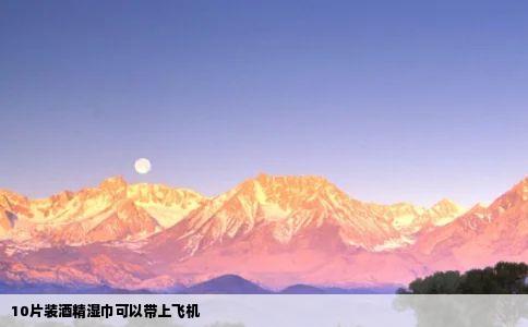 10片装酒精湿巾可以带上飞机