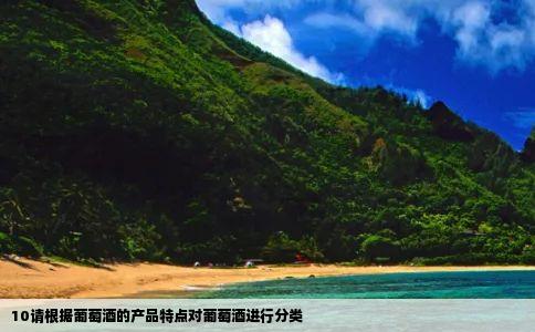 10请根据葡萄酒的产品特点对葡萄酒进行分类