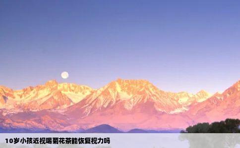 10岁小孩近视喝菊花茶能恢复视力吗