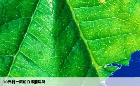 10元钱一瓶的白酒能喝吗