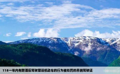 118一年内有醉酒后驾驶营运机动车的行为被处罚的吊销驾驶证