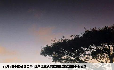 11月1日中国长征二号F遥八运载火箭在酒泉卫星发射中心成功