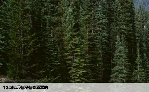 12点以后有没有查酒驾的