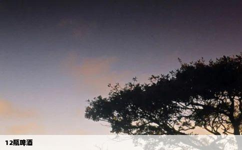 12瓶啤酒