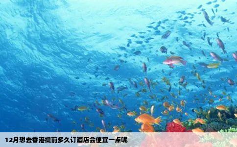 12月想去香港提前多久订酒店会便宜一点呢