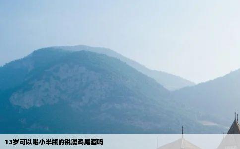 13岁可以喝小半瓶的锐澳鸡尾酒吗