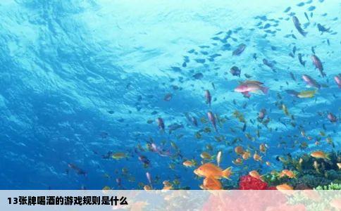 13张牌喝酒的游戏规则是什么