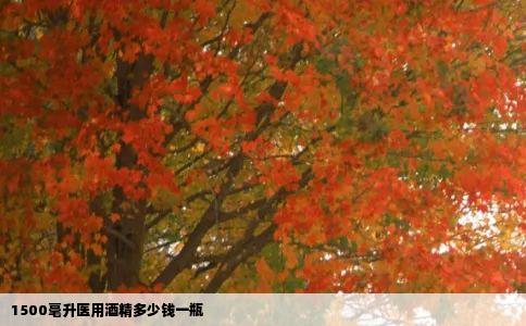 1500毫升医用酒精多少钱一瓶