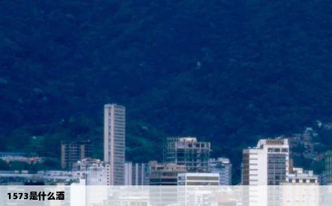 1573是什么酒