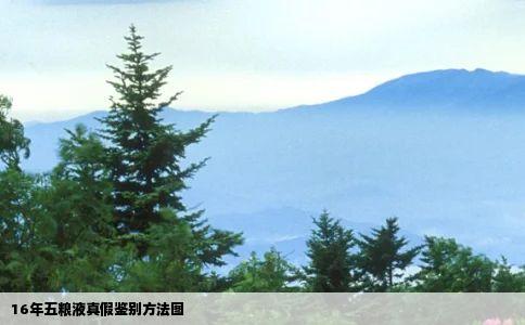 16年五粮液真假鉴别方法图