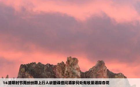 16清明时节雨纷纷路上行人欲断魂借问酒家何处有牧童遥指杏花