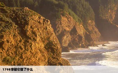 1798拿破仑做了什么