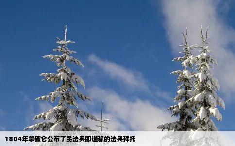 1804年拿破仑公布了民法典即通称的法典拜托