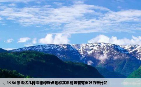 、1956郎酒这几种酒哪种好点哪种实惠或者有有更好的替代品