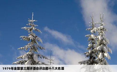 1979年全国第三届评酒会评出那十八大名酒