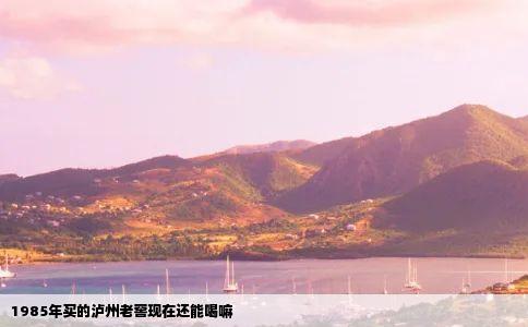 1985年买的泸州老窖现在还能喝嘛