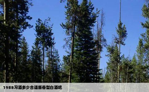 1988习酒多少合适酱香型白酒吧