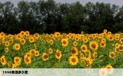 1990啤酒多少度