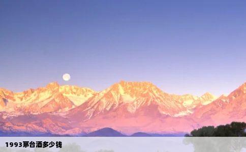 1993茅台酒多少钱