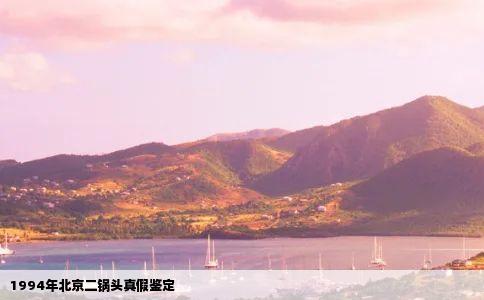 1994年北京二锅头真假鉴定