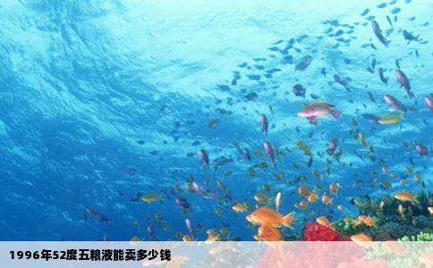 1996年52度五粮液能卖多少钱