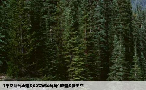 1千克葡萄酒需要02克酿酒酵母1吨需要多少克
