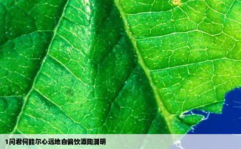 1问君何能尔心远地自偏饮酒陶渊明
