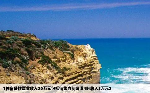 1住宿餐饮营业收入20万元包括销售自制啤酒4吨收入3万元2