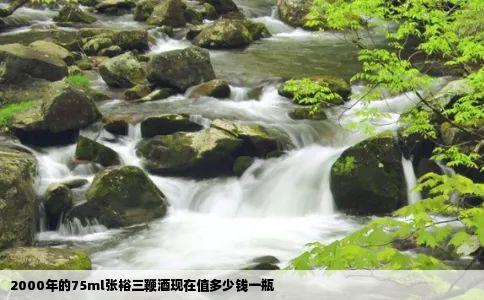 2000年的75ml张裕三鞭酒现在值多少钱一瓶