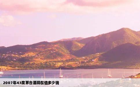 2007年43度茅台酒现在值多少钱
