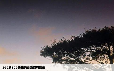 200到300块钱的白酒都有哪些