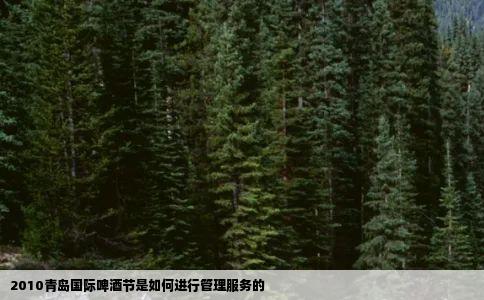 2010青岛国际啤酒节是如何进行管理服务的