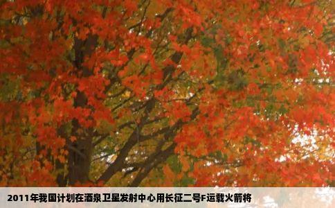 2011年我国计划在酒泉卫星发射中心用长征二号F运载火箭将