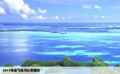 2013年坐飞机可以带酒吗