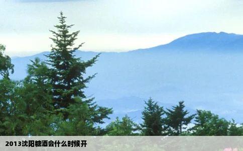 2013沈阳糖酒会什么时候开